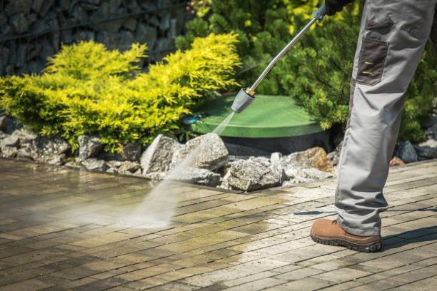 Best Residential Exterior Washing  in Taylor, TX
