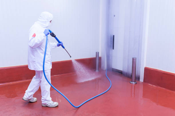 Best Patio and Deck Pressure Washing  in Taylor, TX